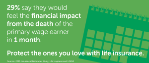 Infostat: Protect the ones you love with whole life insurance.